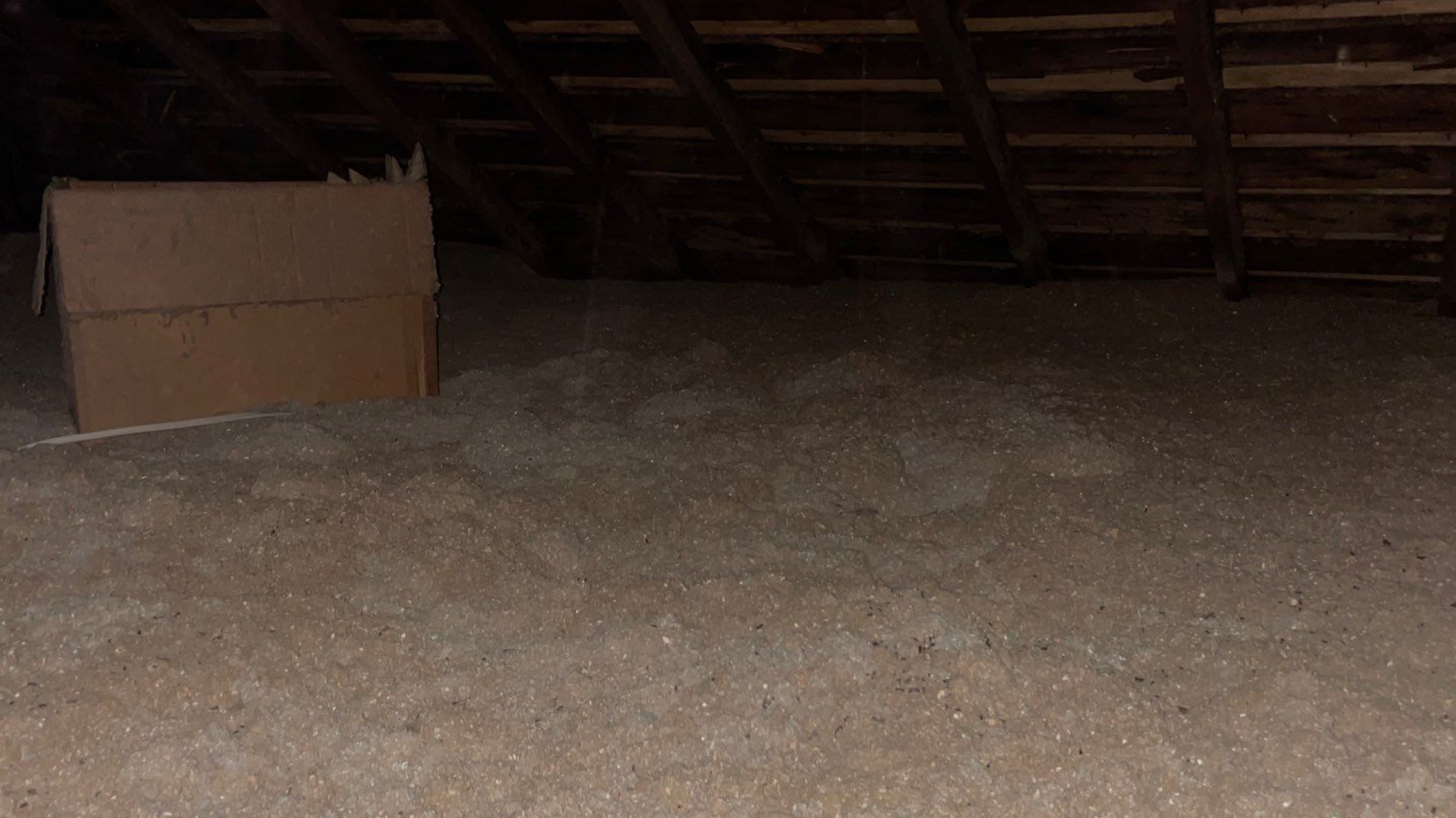 Blown-in attic insulation installed to proper depth
